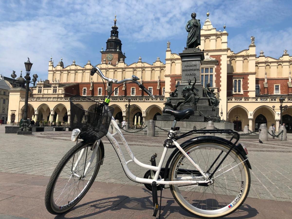 Jacuzzi&bike Apartment, *